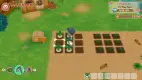 story of seasons: friends of mineral town